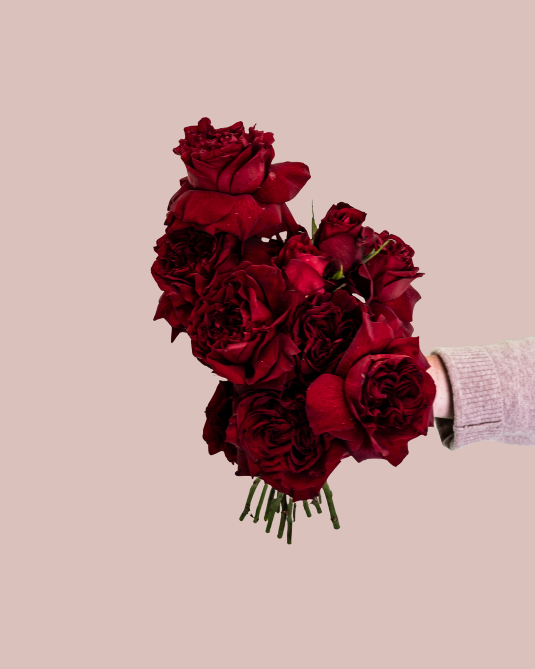 Rose only wedding Bouquet