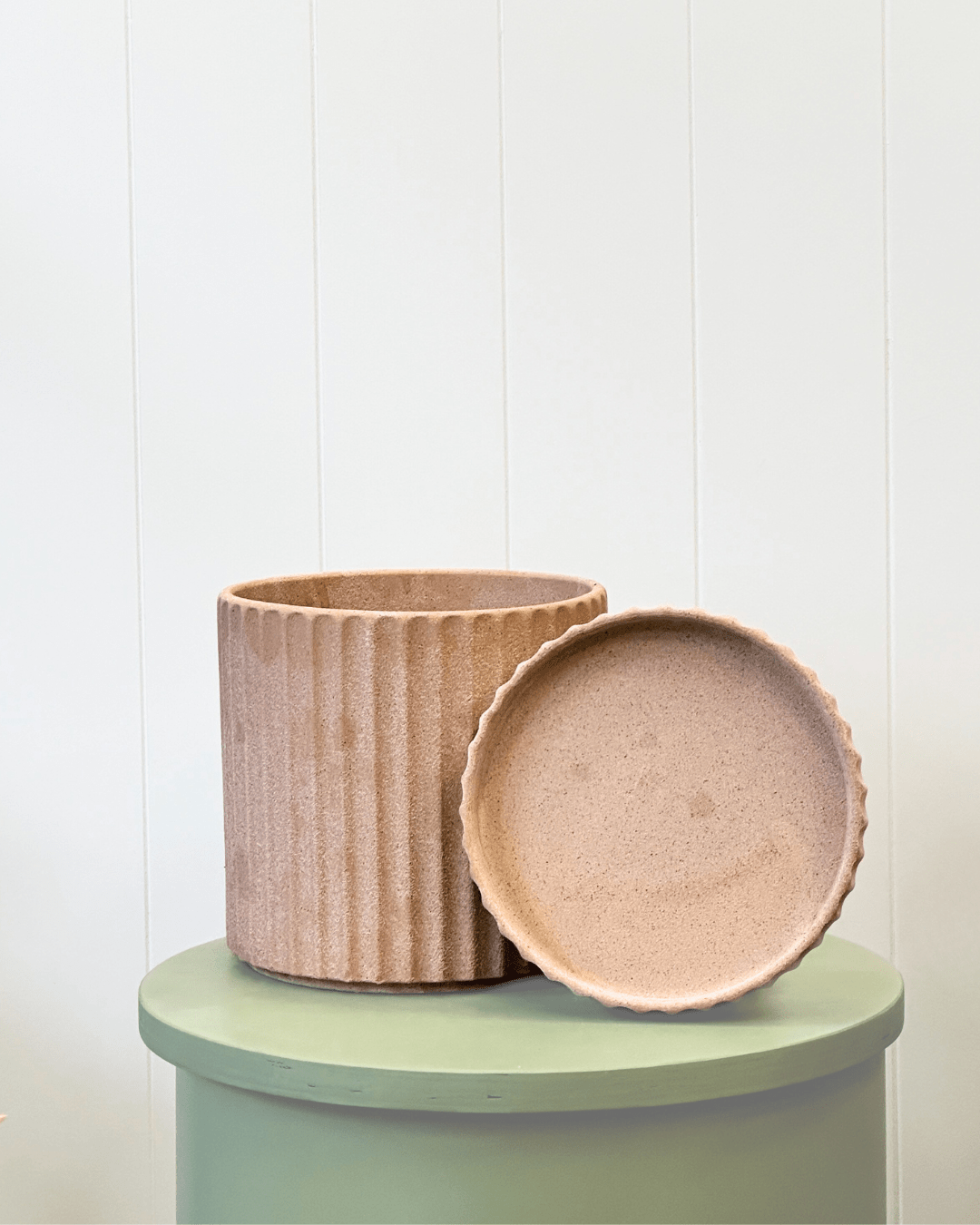 Athens Rose/Natural Sand Pot and Saucer - The Green Room Flower Company