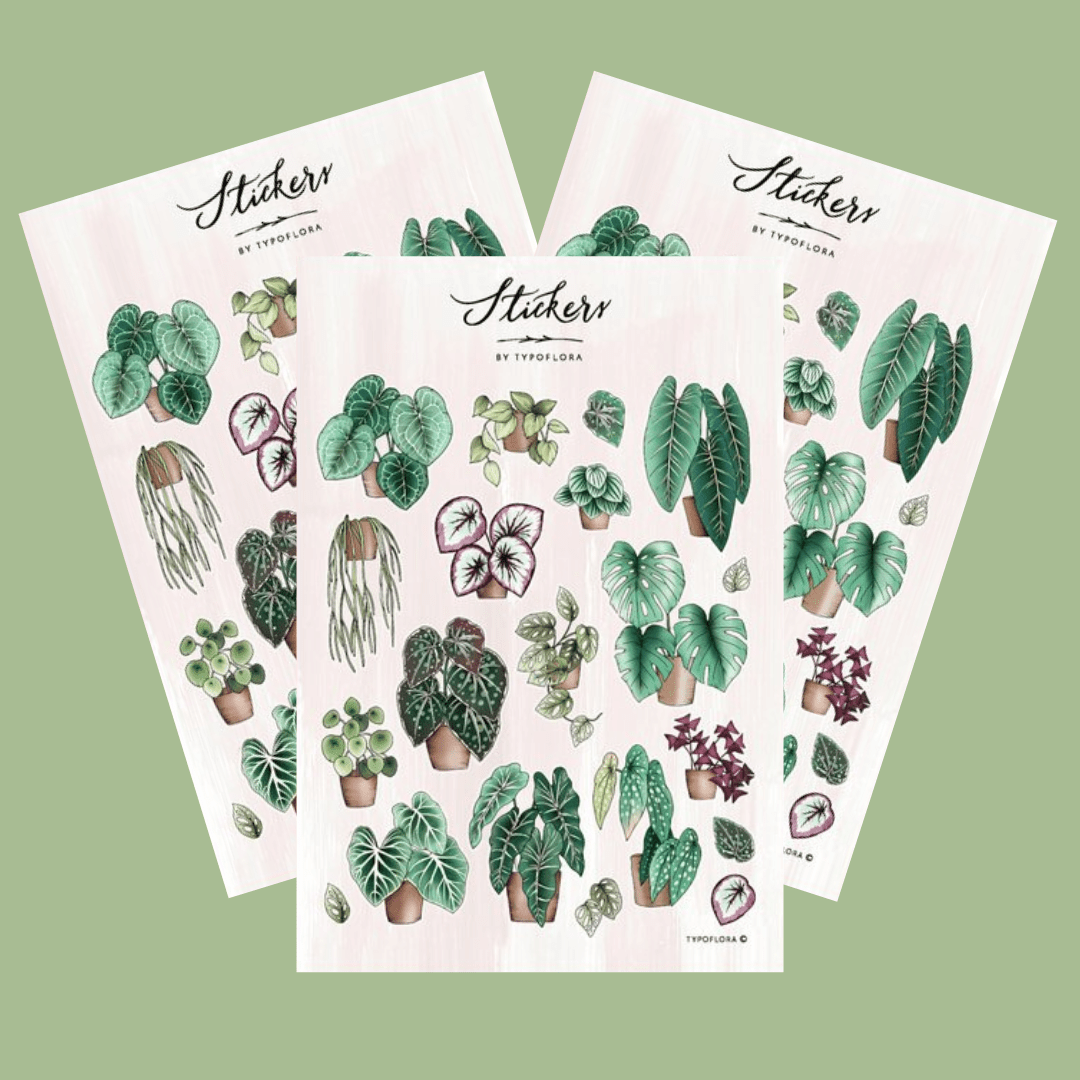 Houseplant Stickers - The Green Room Flower Company