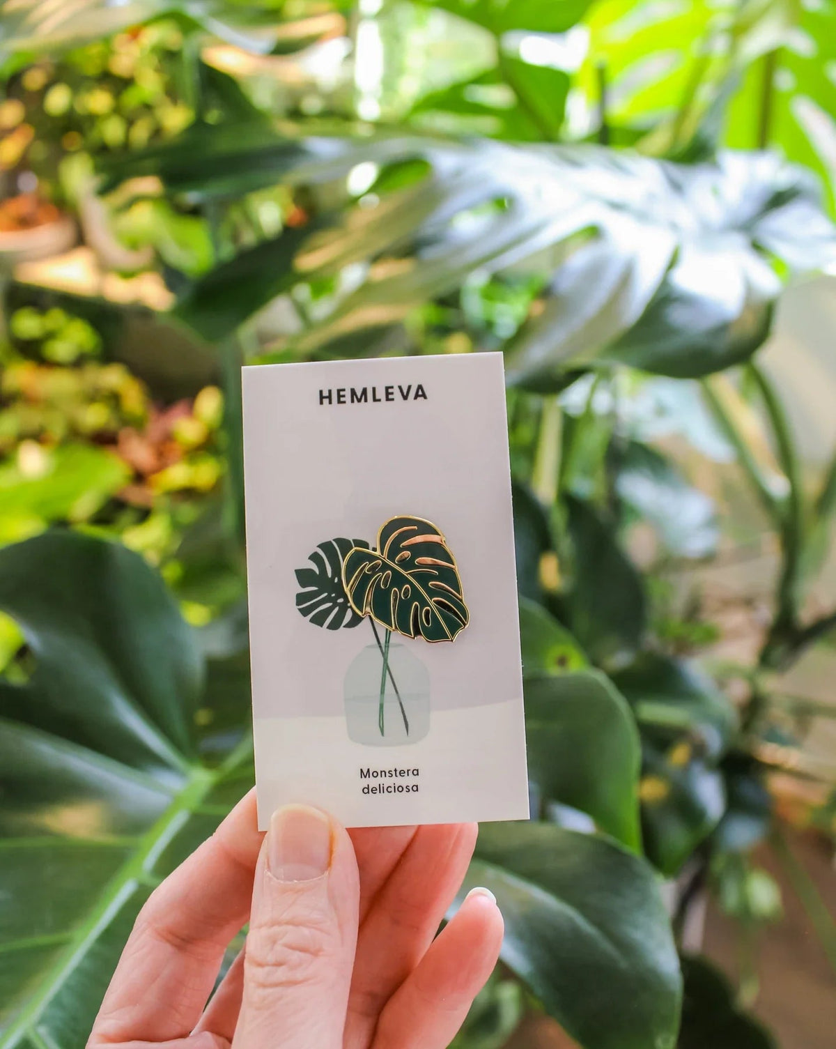 Monstera Green Pin - The Green Room Flower Company