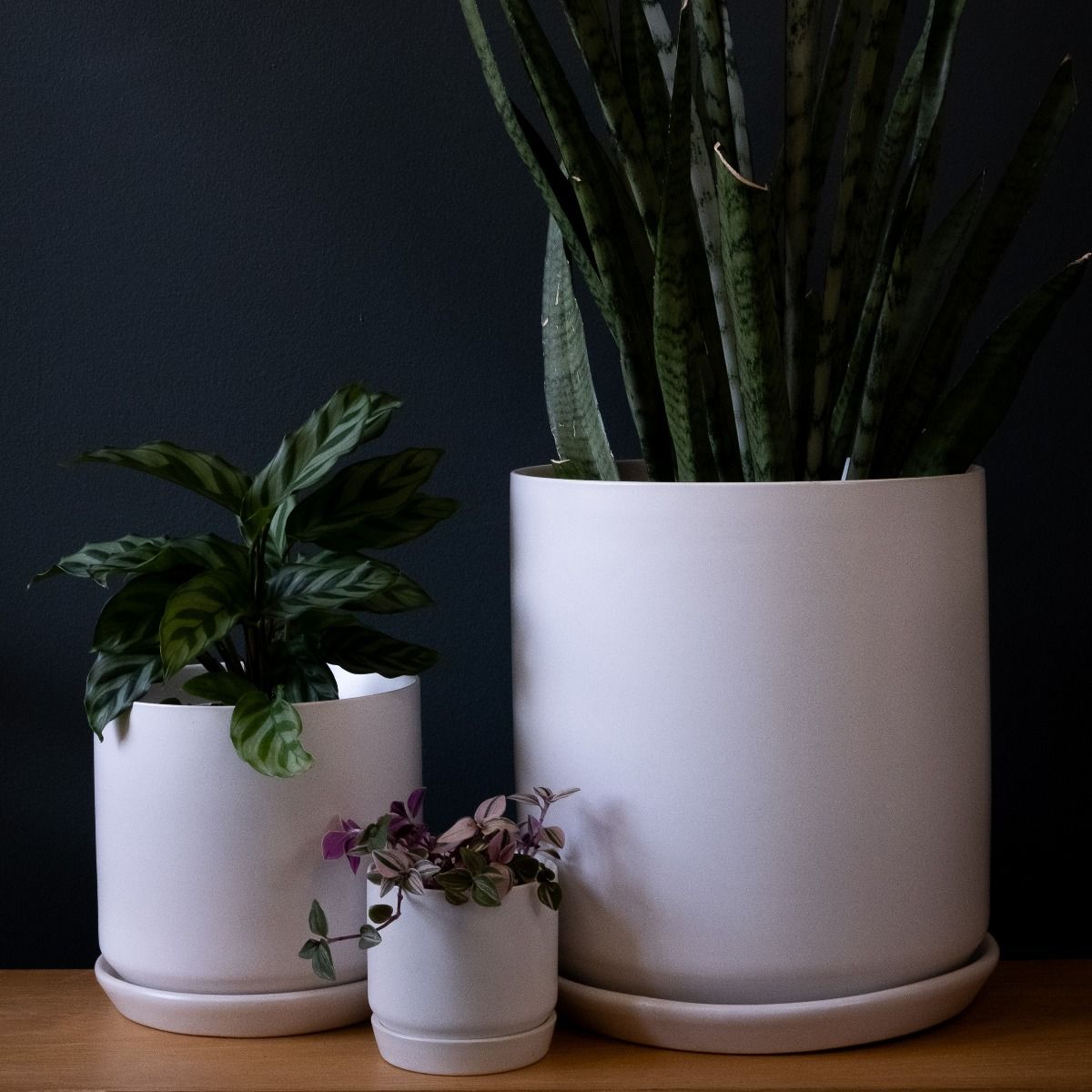 Oslo Planter - The Green Room Flower Company