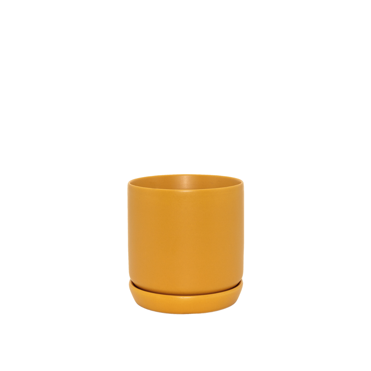 Oslo Planter - The Green Room Flower Company