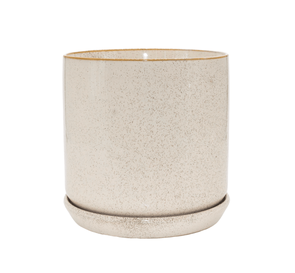 Oslo Planter - The Green Room Flower Company