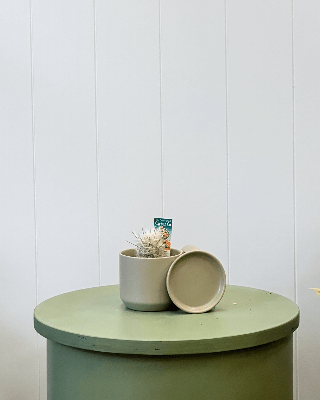 Oslo Planter Sage - The Green Room Flower Company