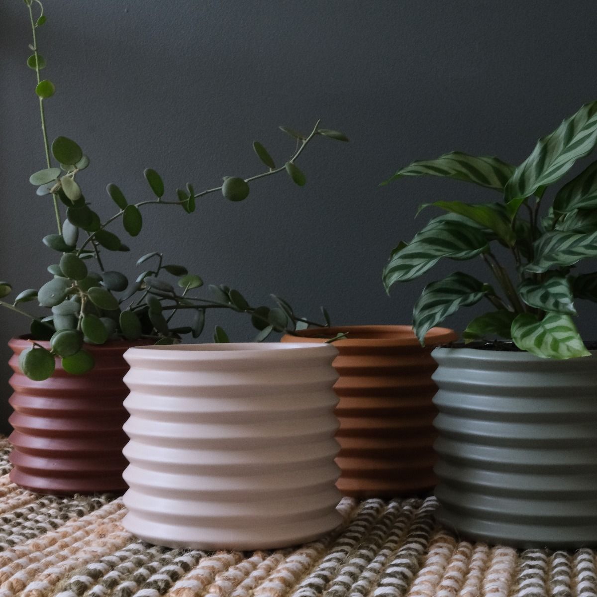 Small Berlin Planter - The Green Room Flower Company