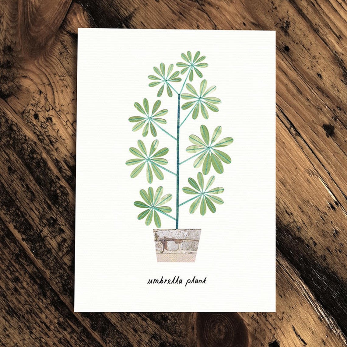 Umbrella Plant - Greeting Card - The Green Room Flower Company
