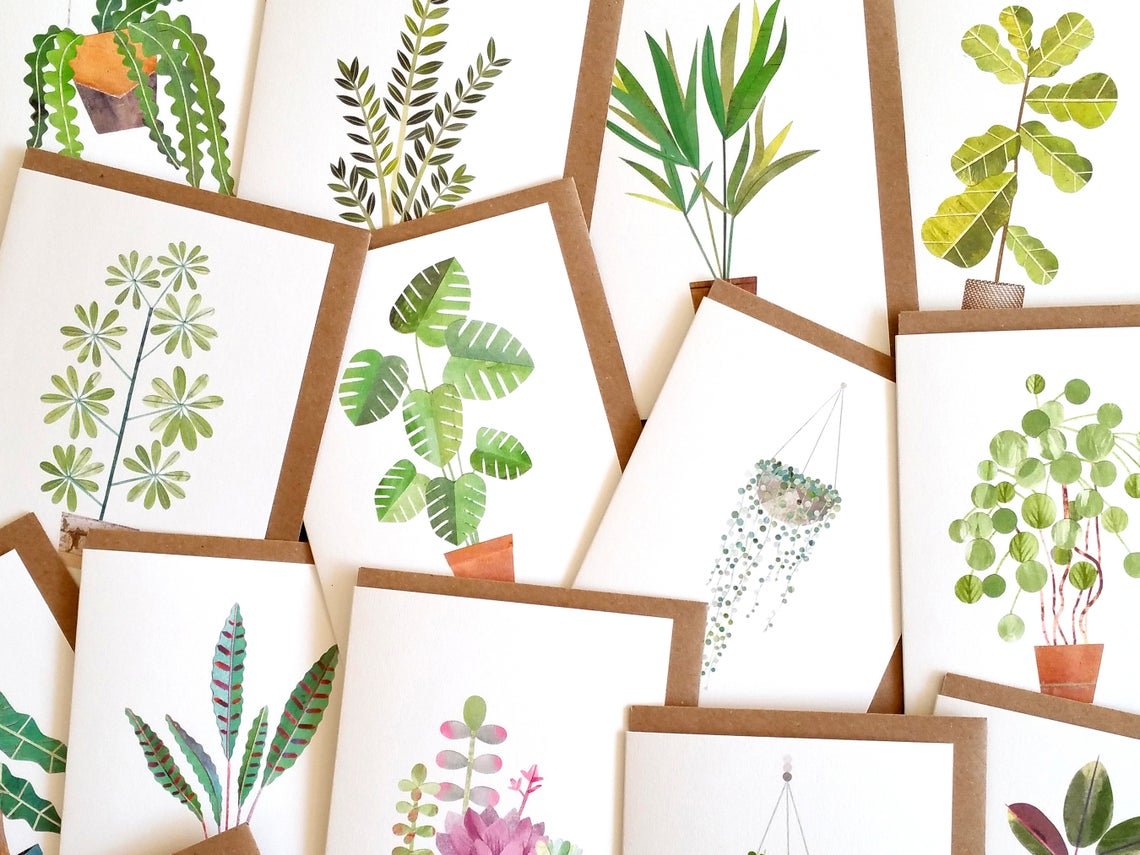 Umbrella Plant - Greeting Card - The Green Room Flower Company