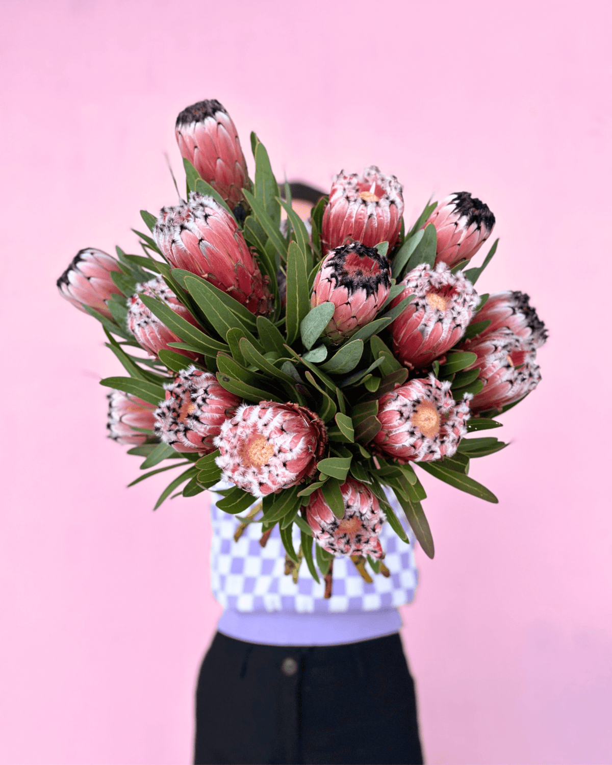 Seasonal Special: PROTEAS - The Green Room Flower Company