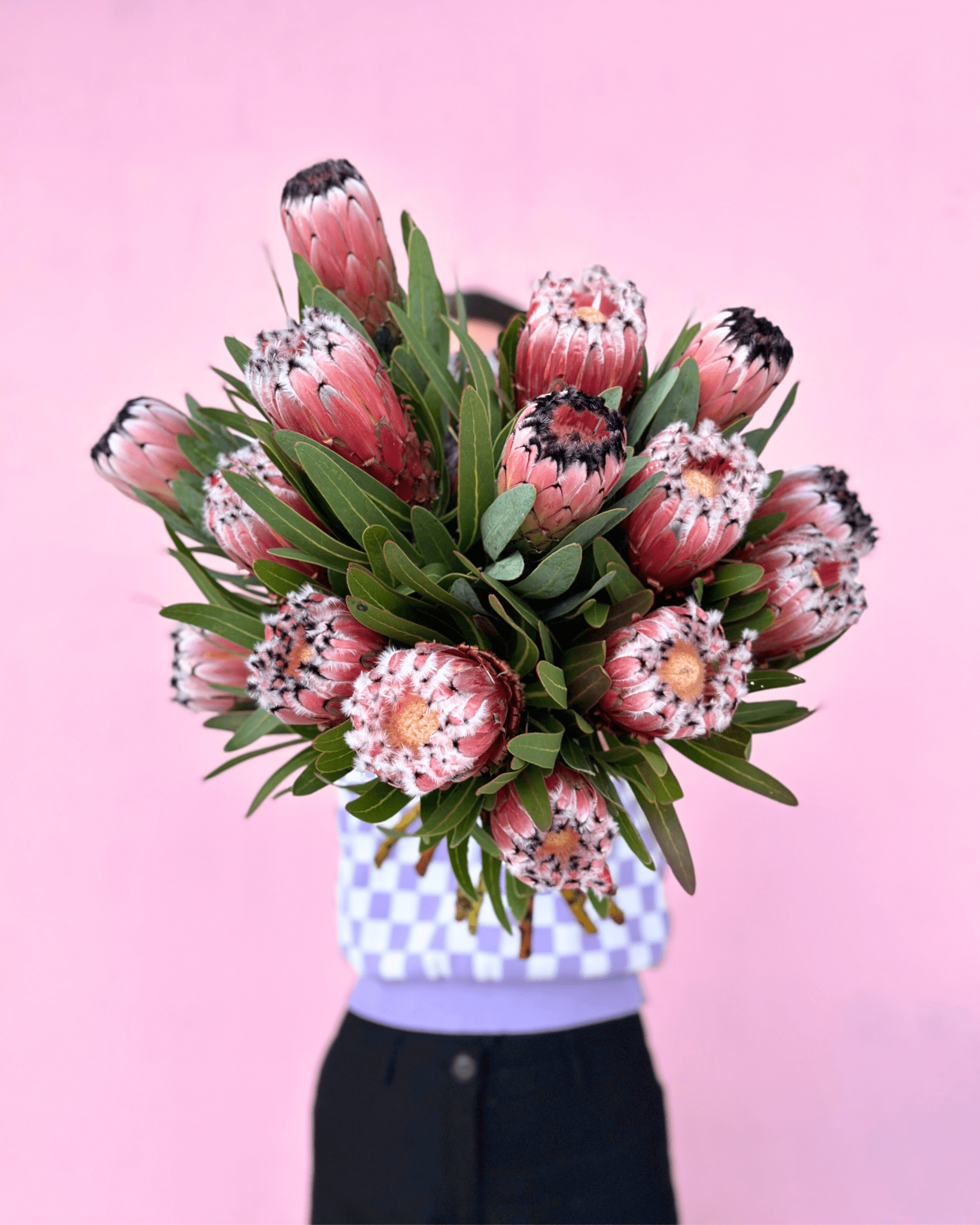 Seasonal Special: PROTEAS - The Green Room Flower Company