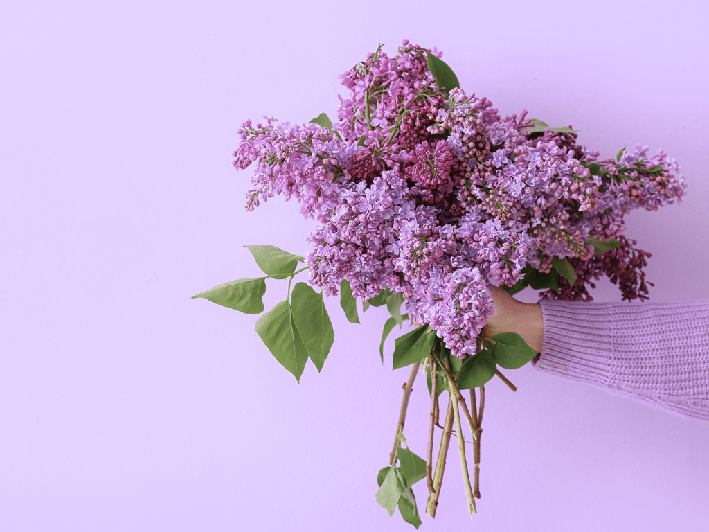 5 reasons to choose Lilac for your whimsical spring wedding - The Green Room Flower Company