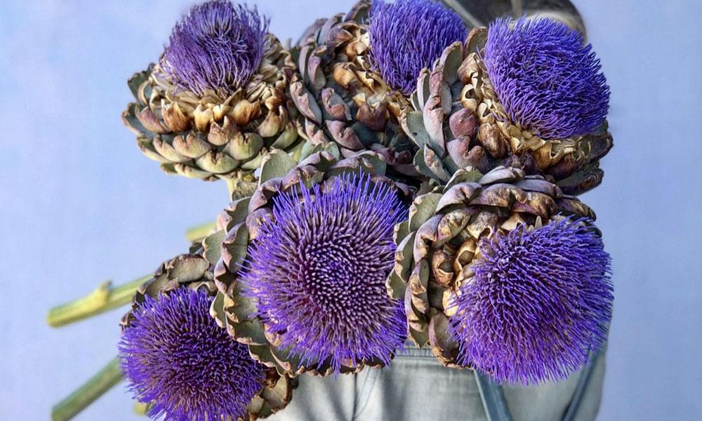 Great Tips to Help Your Flowers Last Longer - The Green Room Flower Company