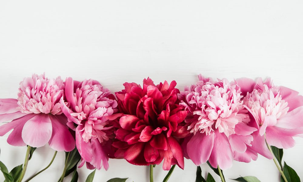 Mythological Flowers - The Green Room Flower Company