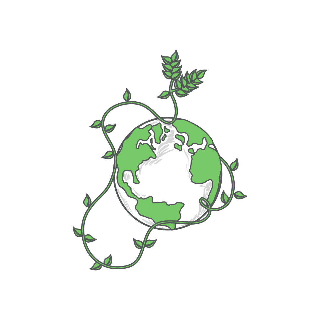 NOT JUST OUR NAME, BUT OUR NATURE TOO|| Our eco efforts - The Green Room Flower Company