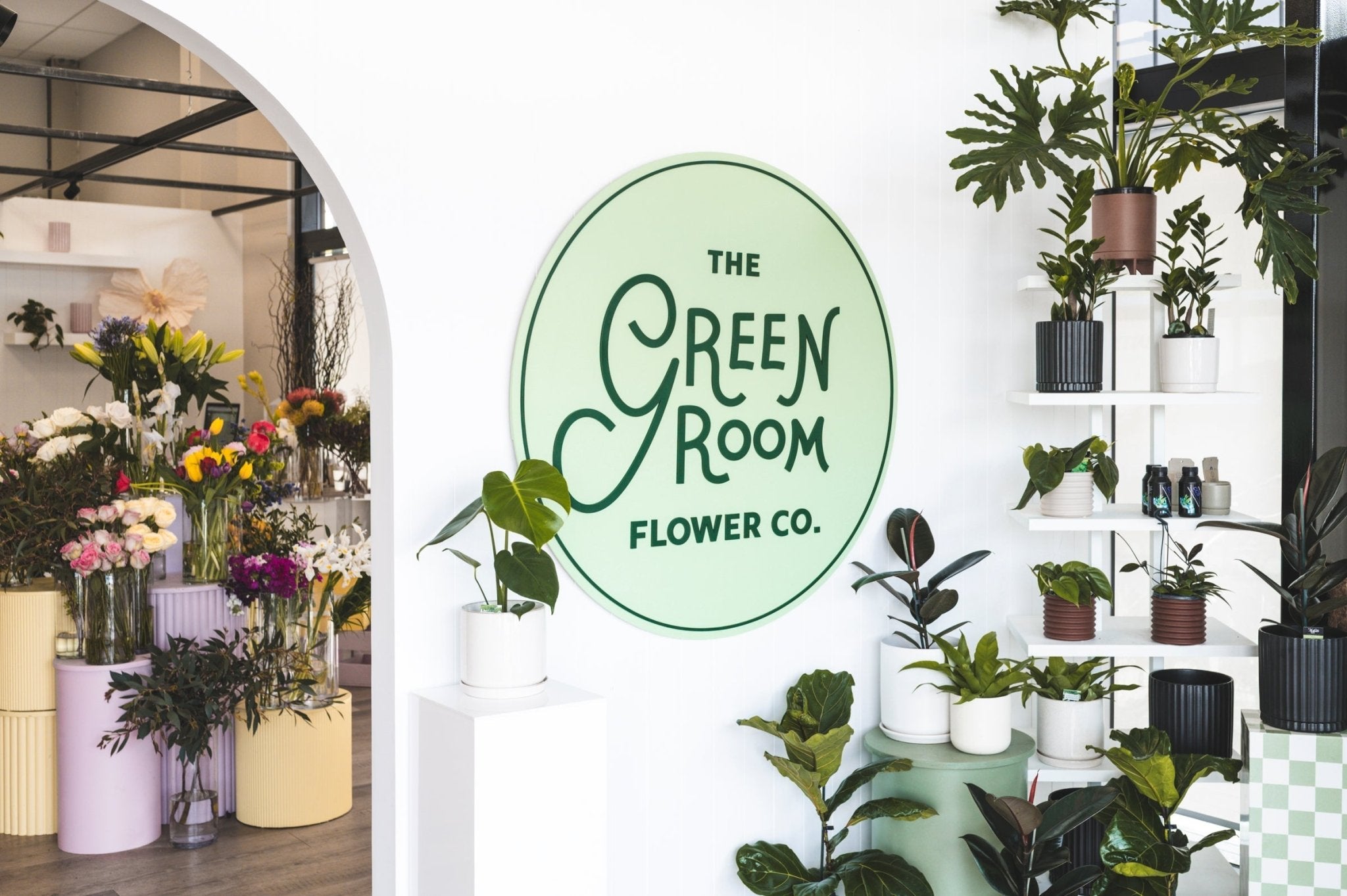 In Store + Local Delivery Plants - The Green Room Flower Company
