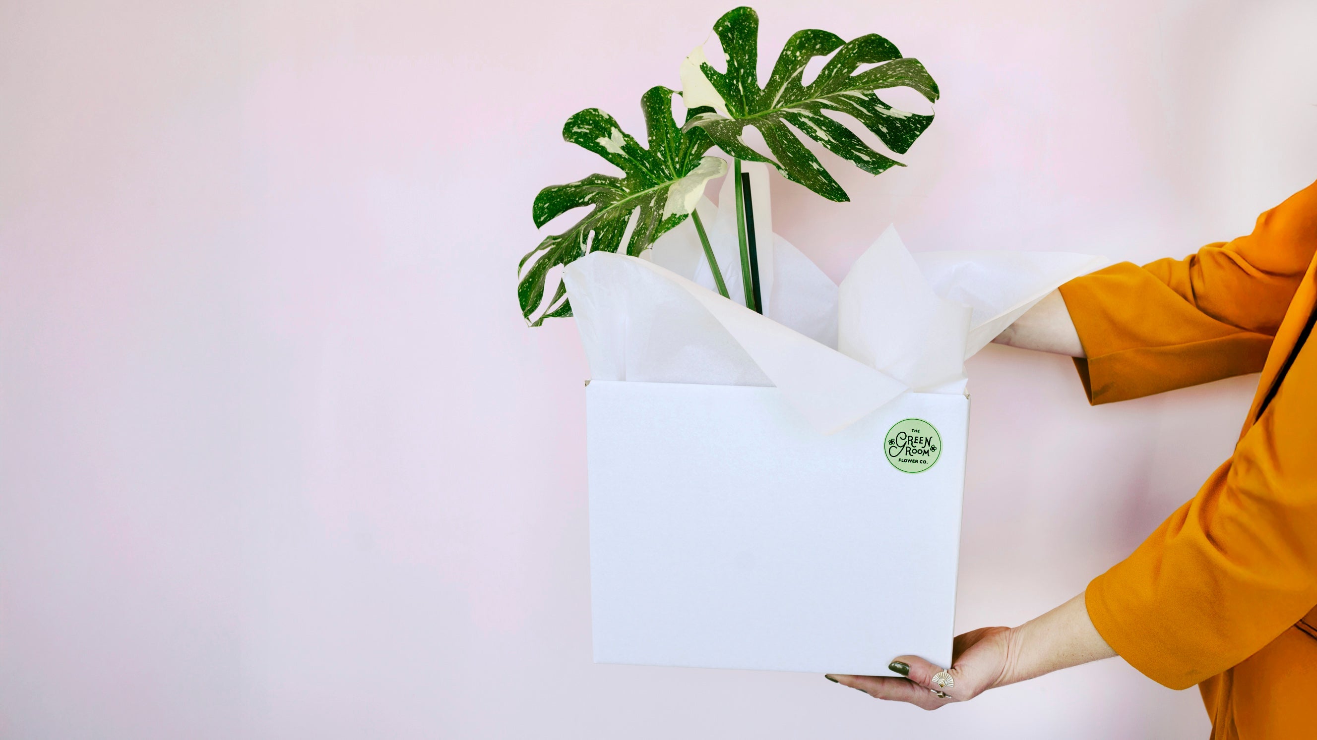Nationwide Plants - The Green Room Flower Company