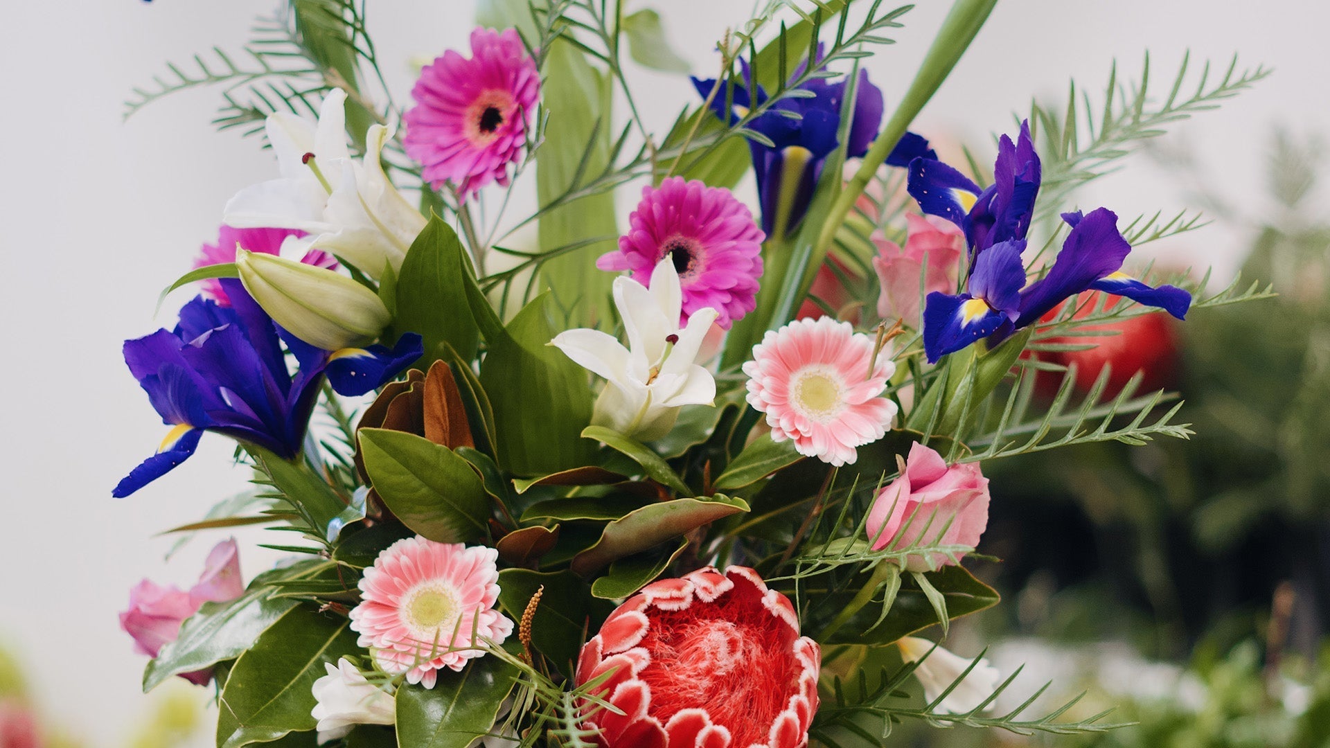 Occasions - The Green Room Flower Company