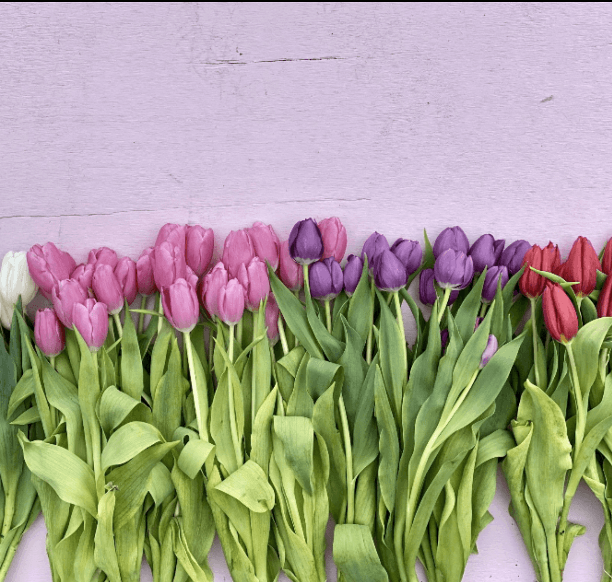 Seasonal Flower Specials - The Green Room Flower Company
