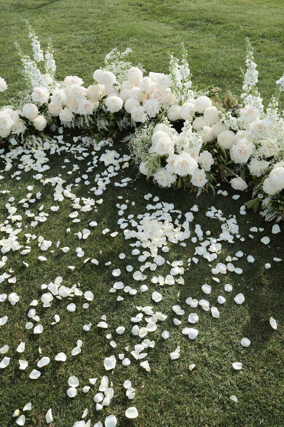 Flower Petals