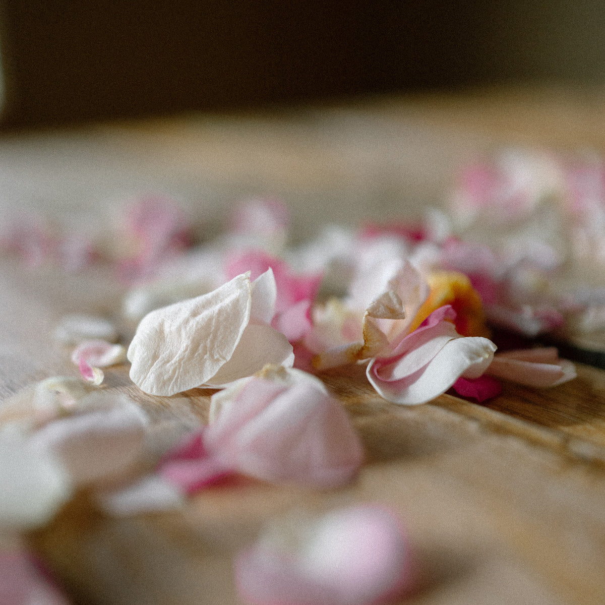 Flower Petals
