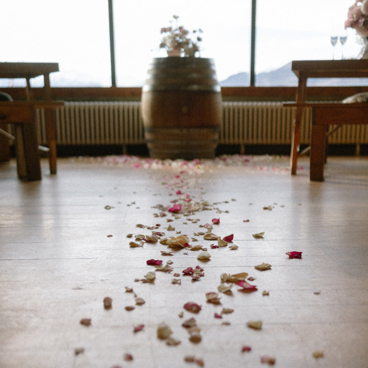 Flower Petals