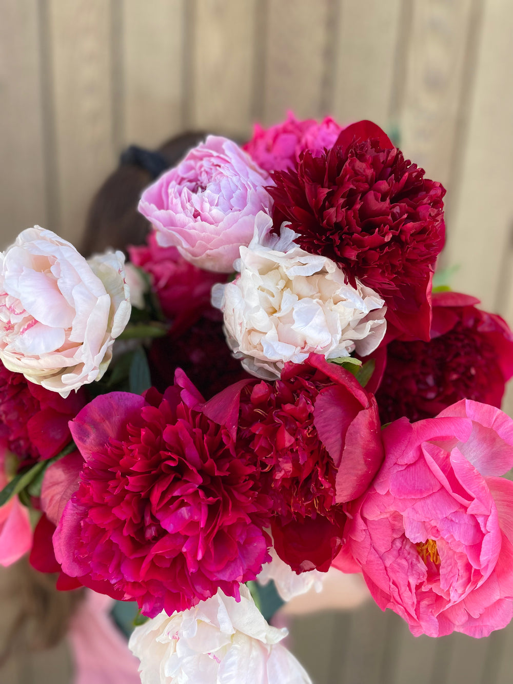 Locally Grown Peonies | Christmas Preorder