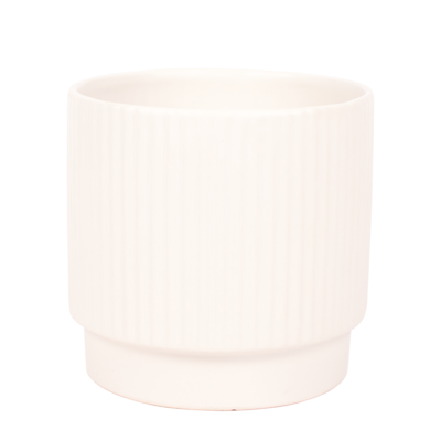 Juno Pot