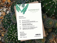 Alocasia - Greeting Card - The Green Room Flower Company
