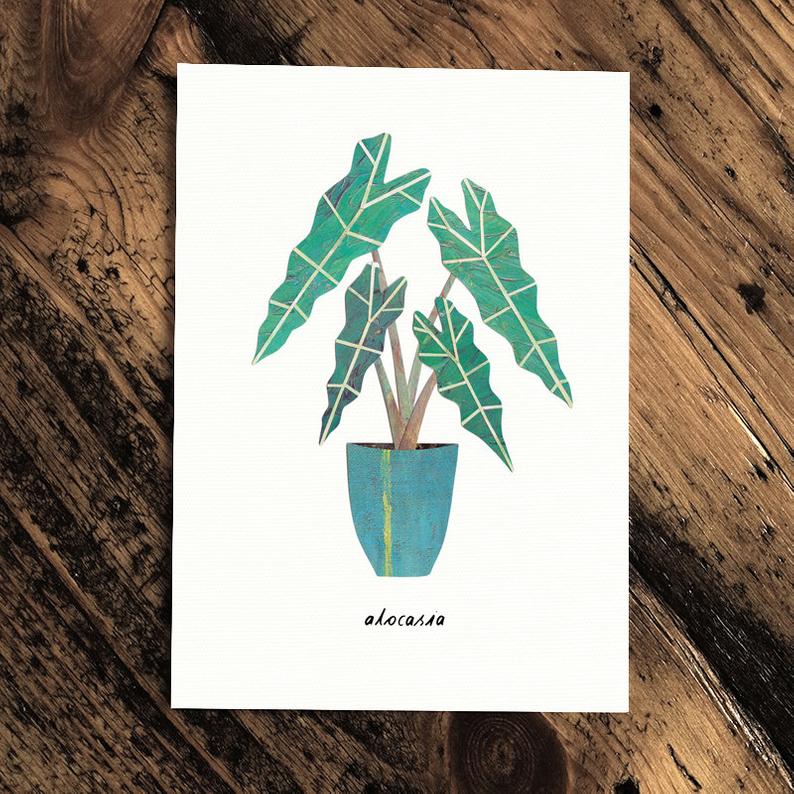 Alocasia - Greeting Card - The Green Room Flower Company