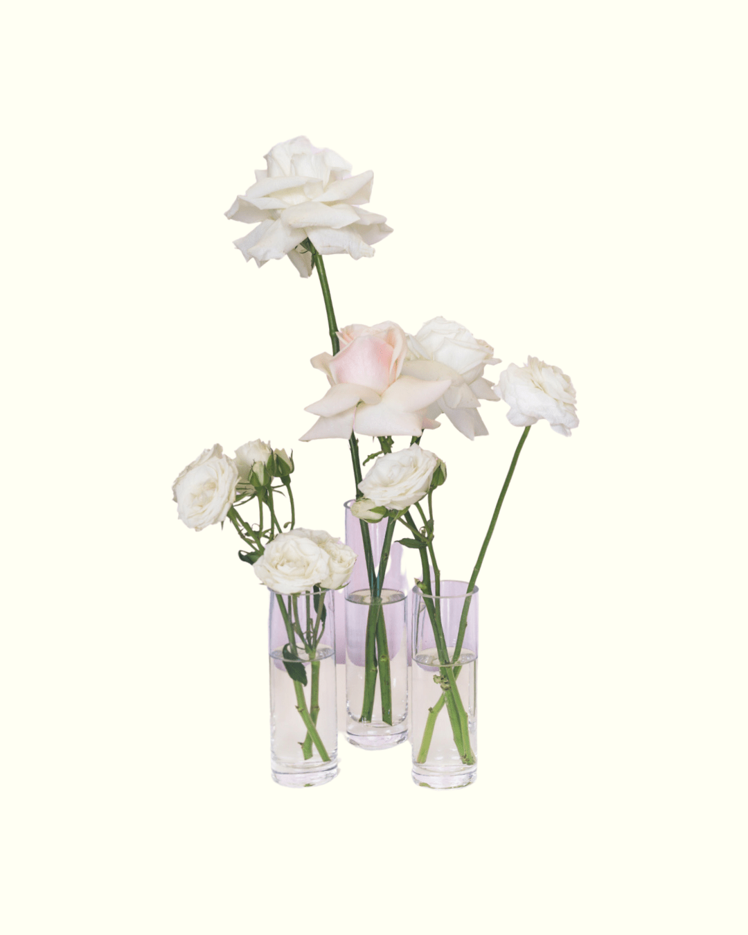 Bud - Vase 3 Piece Cluster - The Green Room Flower Company