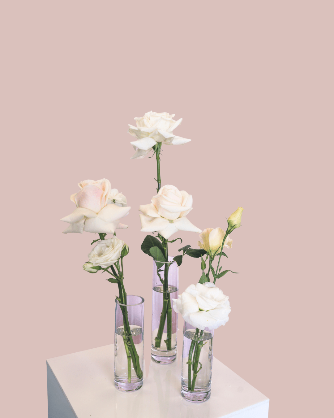 Bud - Vase 3 Piece Cluster - The Green Room Flower Company