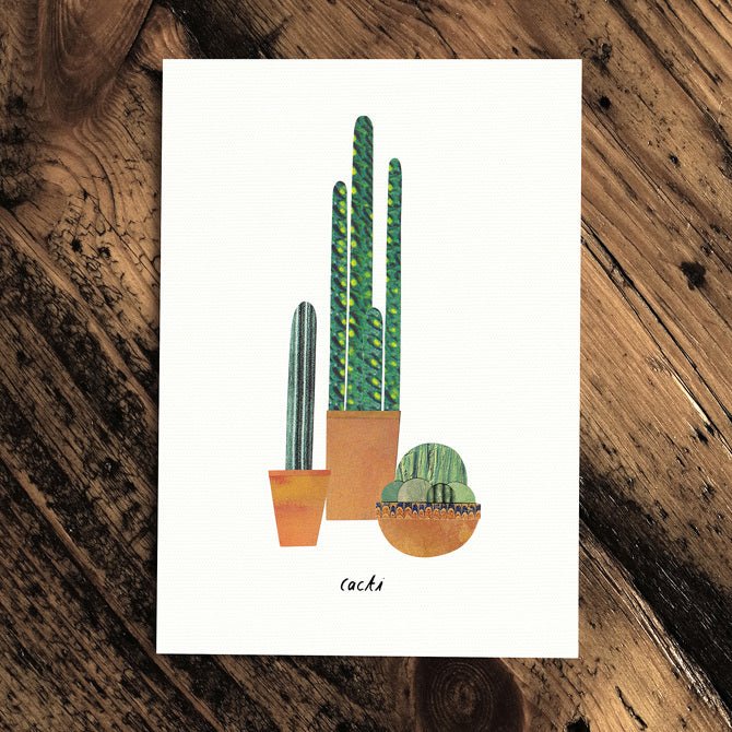 Cacti - Greeting Plant - The Green Room Flower Company