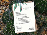 Calathea - Greeting Card - The Green Room Flower Company