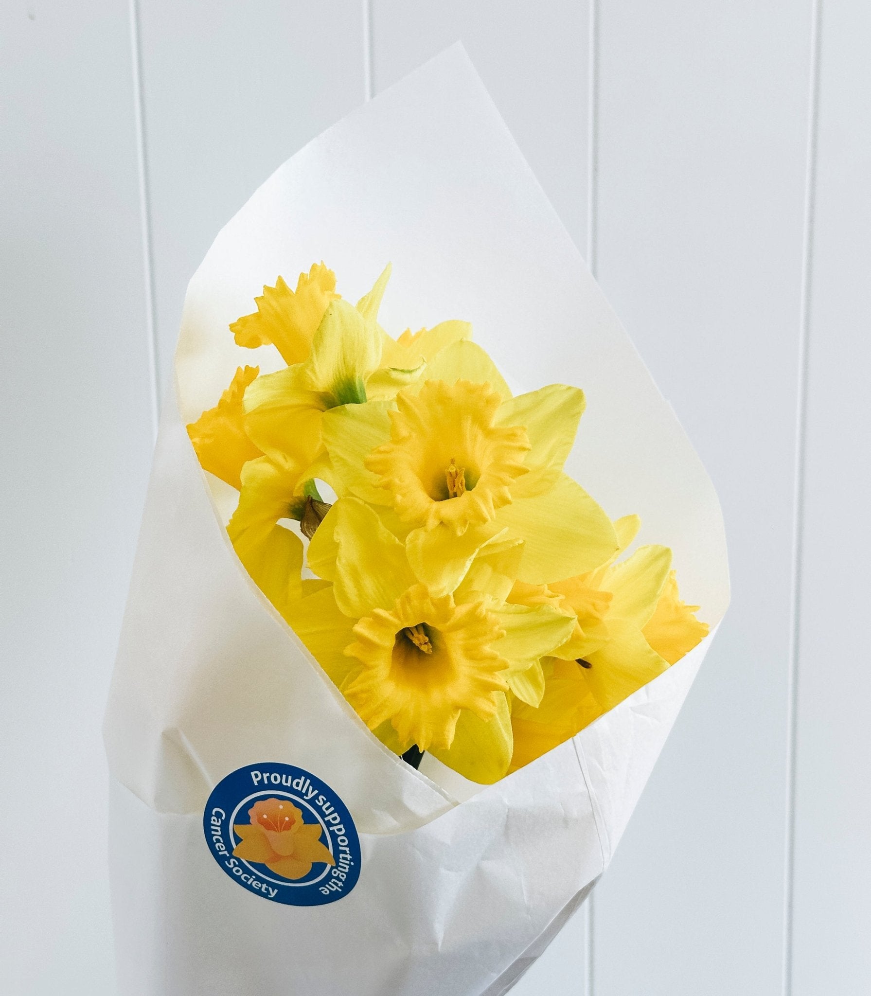 Daffodil Day Bundles - The Green Room Flower Company