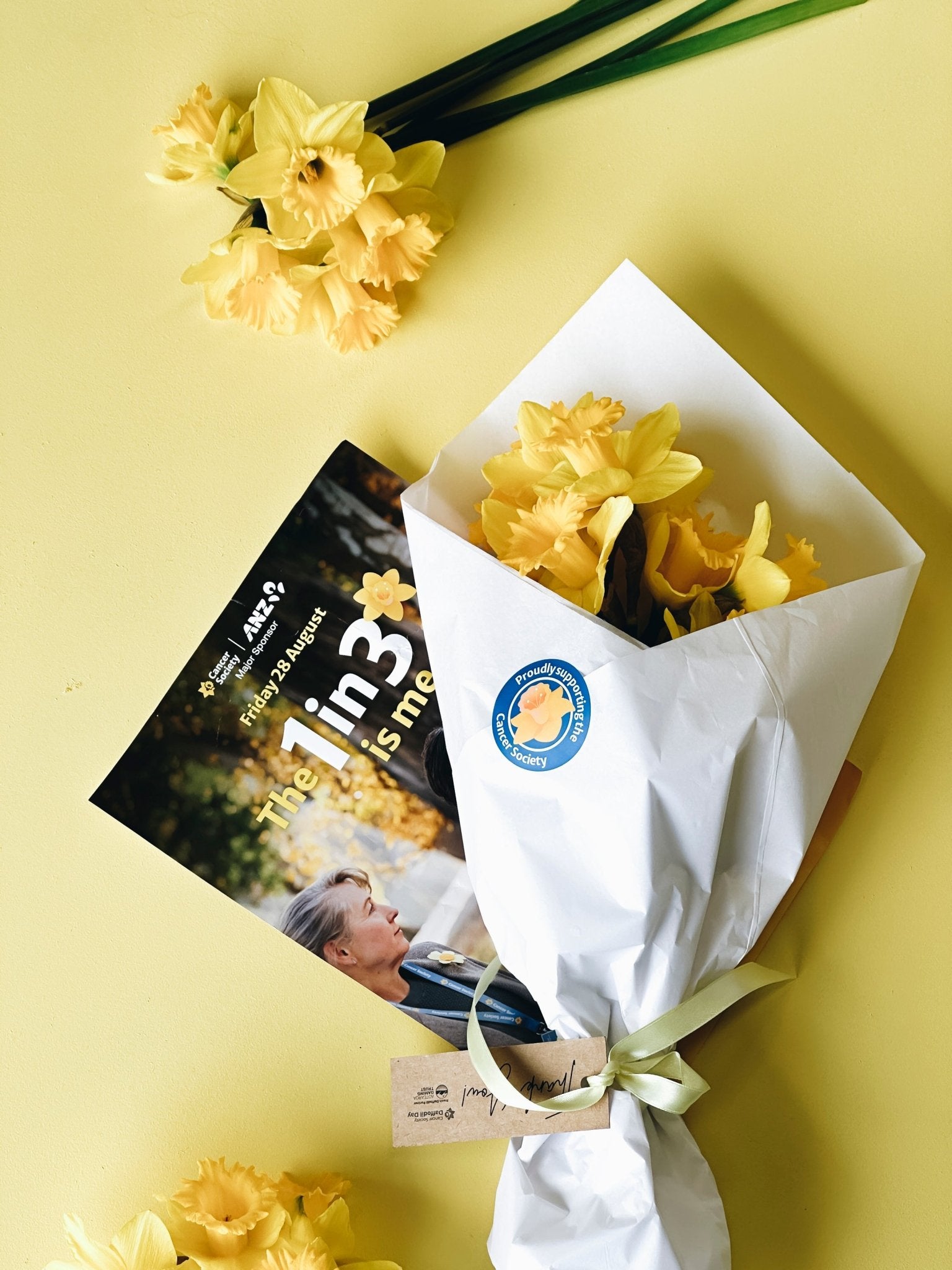 Daffodil Day Bundles - The Green Room Flower Company
