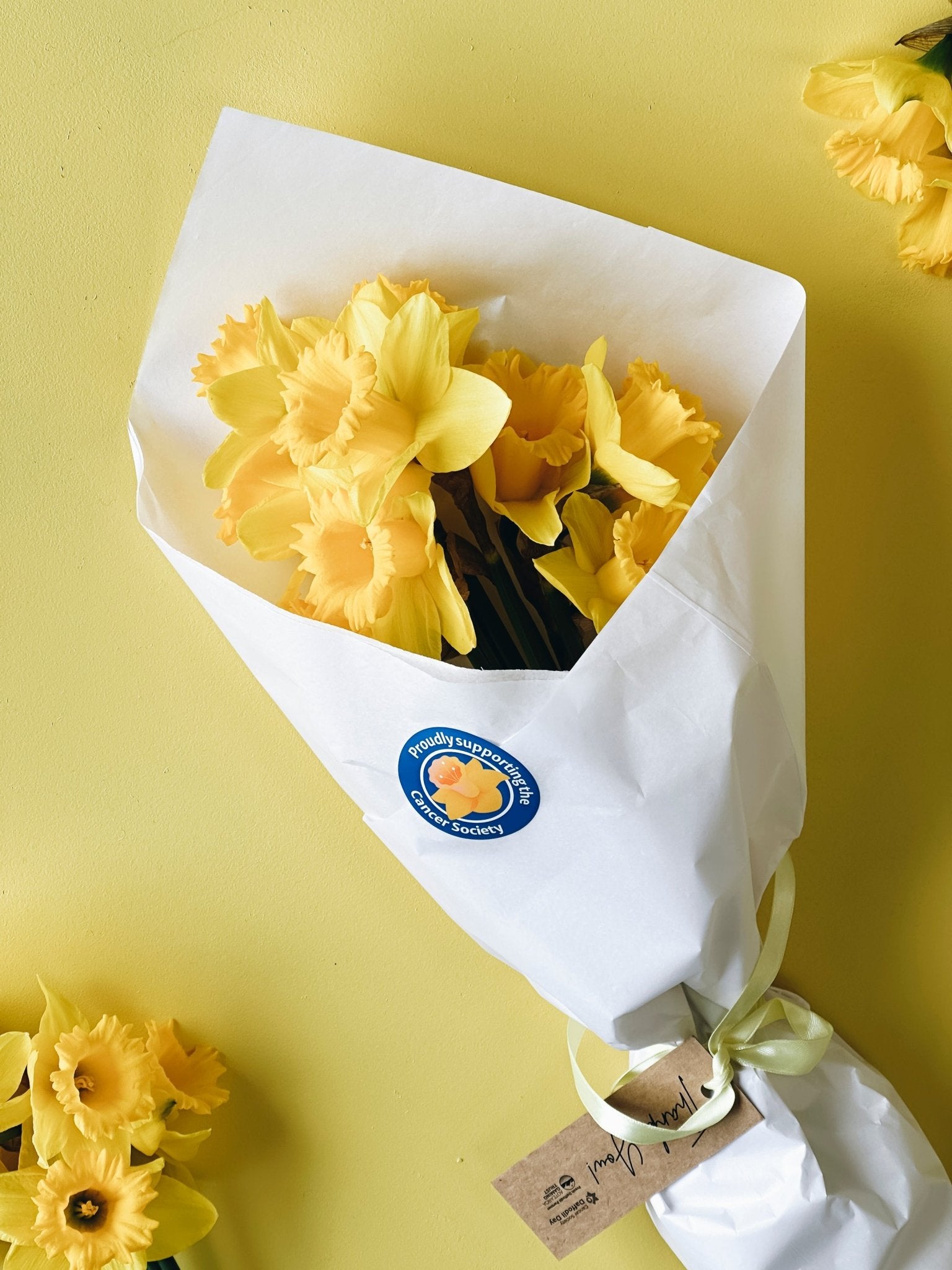 Daffodil Day Bundles - The Green Room Flower Company