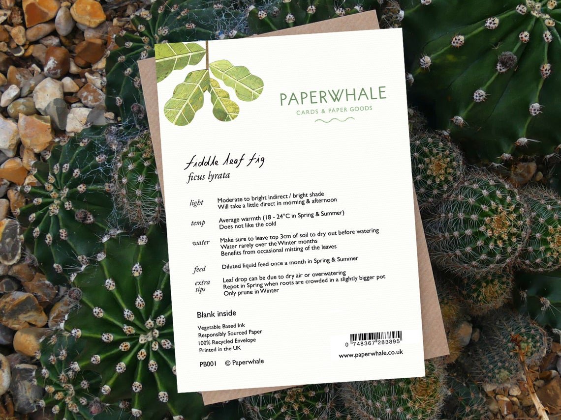 Fiddle leaf Fig - Greeting Card - The Green Room Flower Company