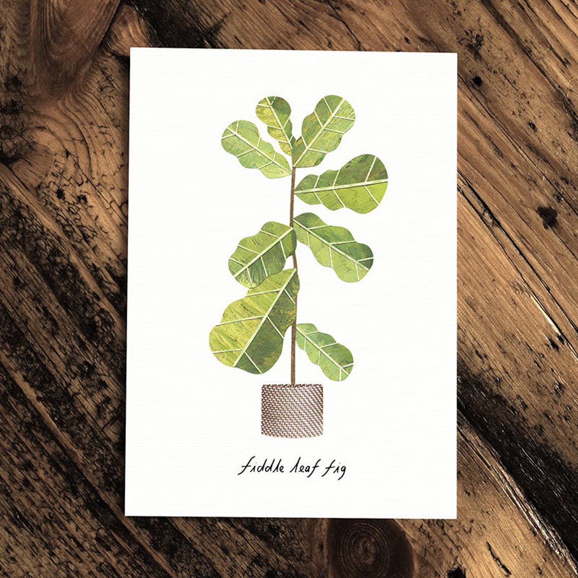 Fiddle leaf Fig - Greeting Card - The Green Room Flower Company