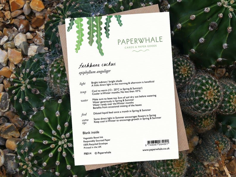 Fishbone Cactus - Greeting Card - The Green Room Flower Company