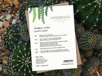 Fishbone Cactus - Greeting Card - The Green Room Flower Company