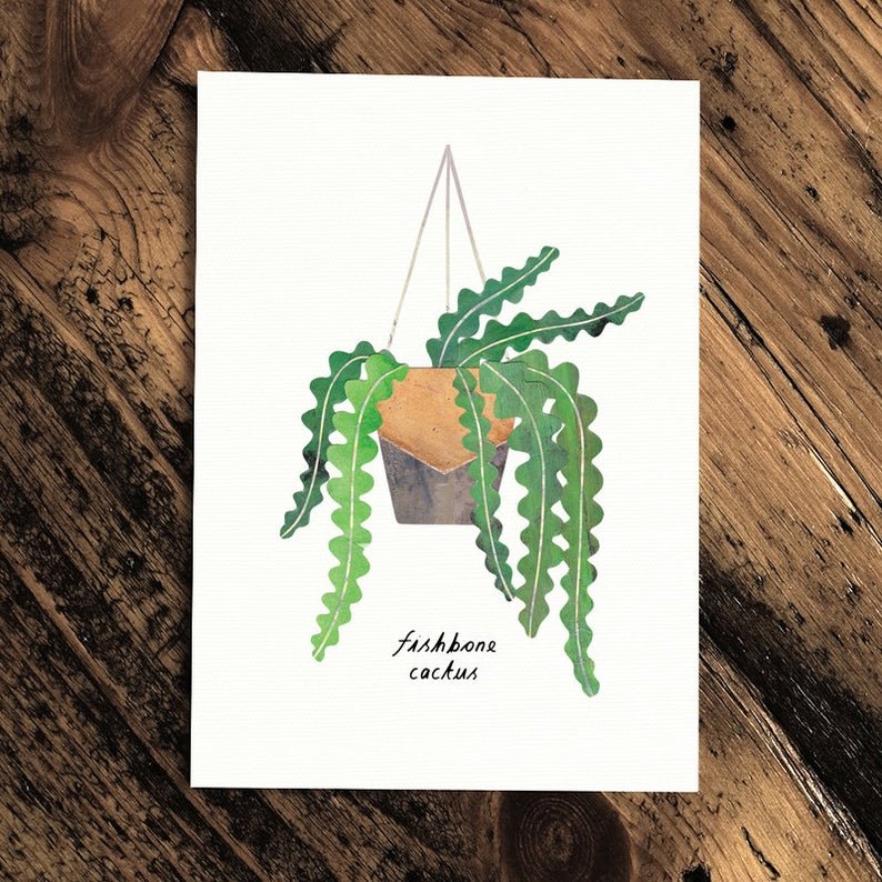 Fishbone Cactus - Greeting Card - The Green Room Flower Company
