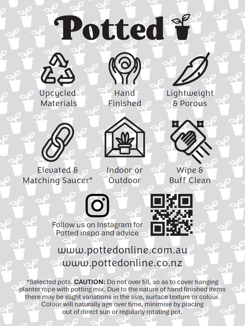 Florence pot - The Green Room Flower Company