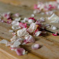 Flower Petals - The Green Room Flower Company