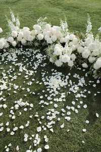 Flower Petals - The Green Room Flower Company