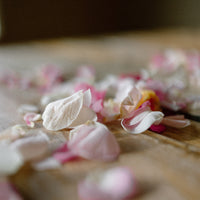 Flower Petals - The Green Room Flower Company