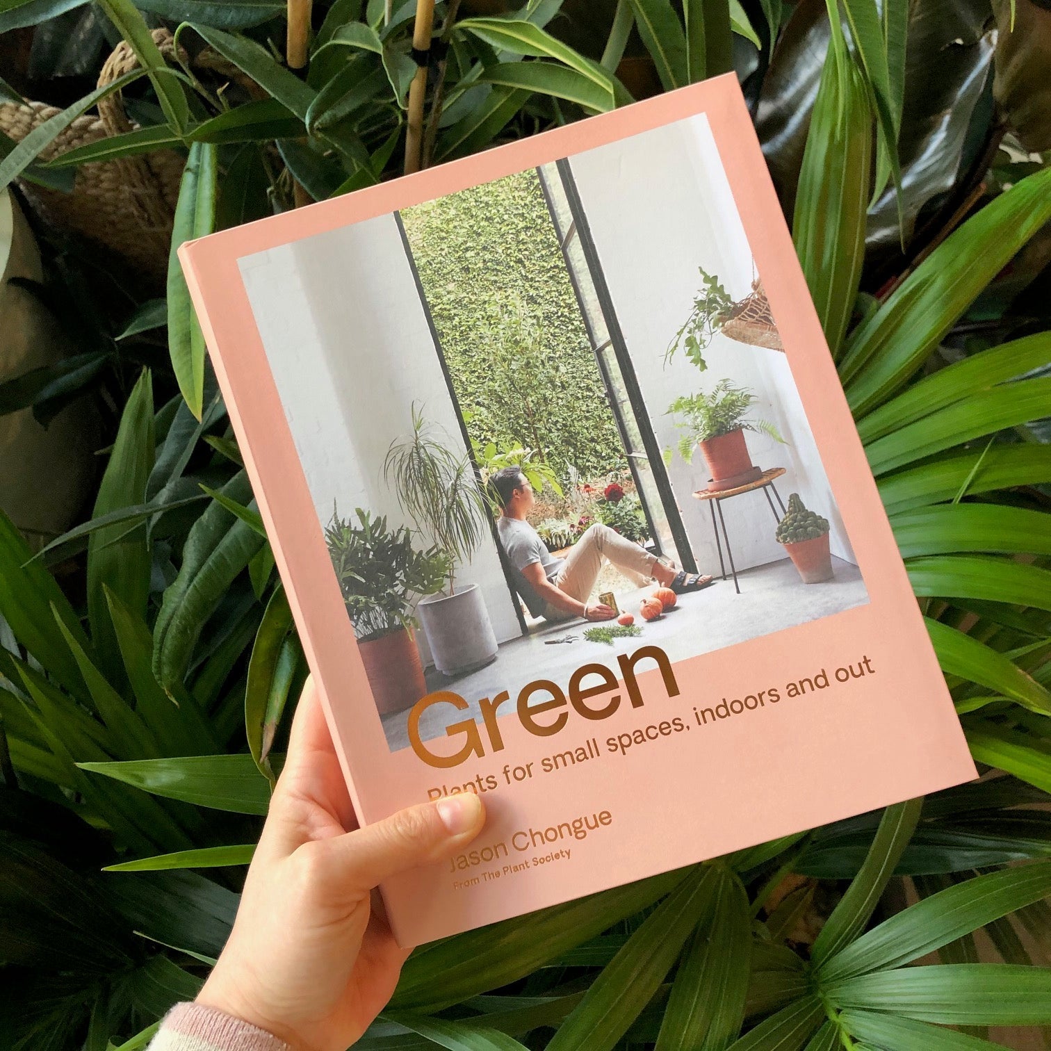Green Plants for small spaces, indoors and out - The Green Room Flower Company