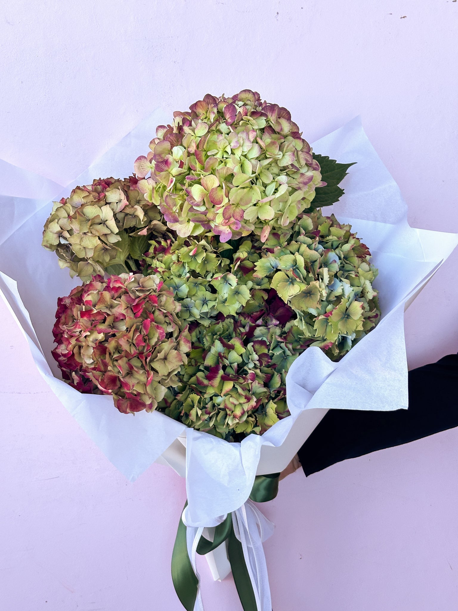 Hydies for Mum - The Green Room Flower Company
