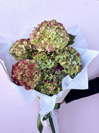 Hydies for Mum - The Green Room Flower Company