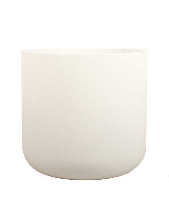 Ivy white ceramic pot - The Green Room Flower Company