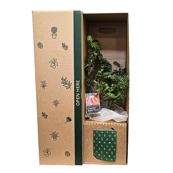 Kaka Beak - The Green Room Flower Company