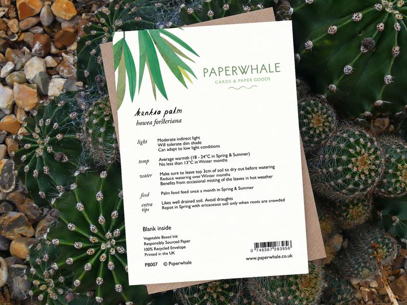 Kentia Palm - Greeting Card - The Green Room Flower Company
